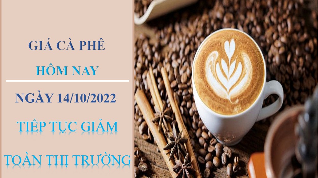 Giá cà phê hôm nay 14/10/2022: Tiếp tục giảm toàn thị trường