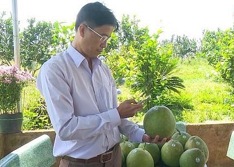 Nông sản Đắk Nông kết nối toàn cầu nhờ thương mại điện tử