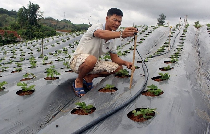Tỉnh Sơn La hiện đã có hơn 740 Hợp tác xã nông nghiệp.
