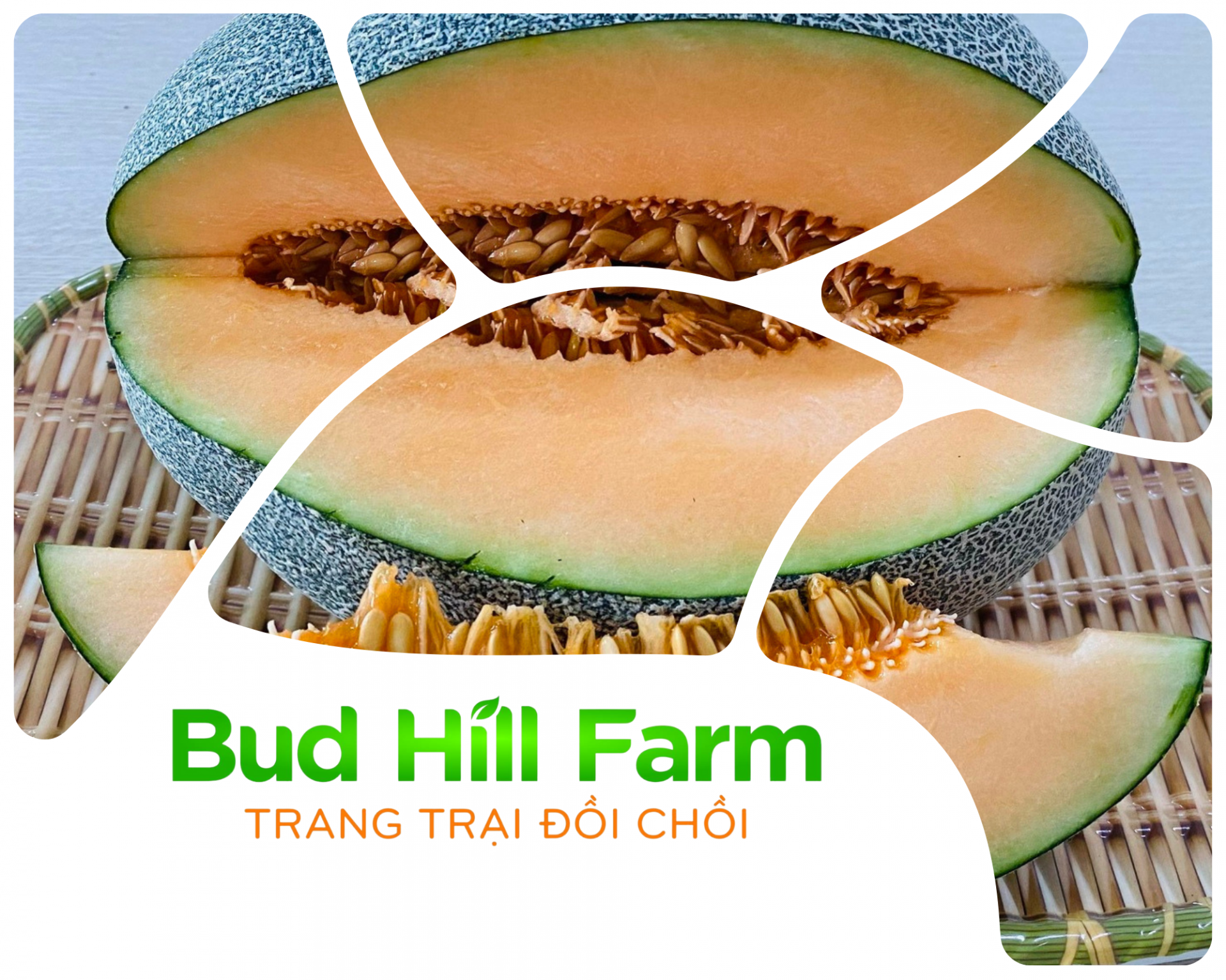 Trang trại Đồi Chồi Bud Hill Farm, xóm Yên Thế, xã Thịnh Sơn, huyện Đô Lương (tỉnh Nghệ An).