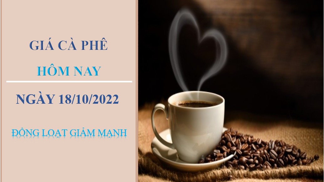 Giá cà phê hôm nay 18/10/2022: Đồng loạt giảm nhẹ