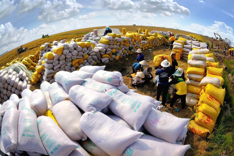9 tháng đầu năm, giá gạo xuất khẩu giảm 8,4%