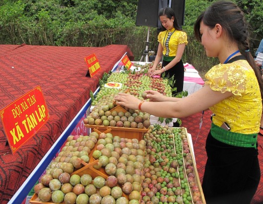 Nông sản rộng đường xuất khẩu nhờ những cái bắt tay của doanh nghiệp