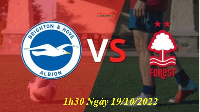 Brighton vs Nottingham 1h30 ngày 19/10/2022, vòng 12 Ngoại hạng Anh