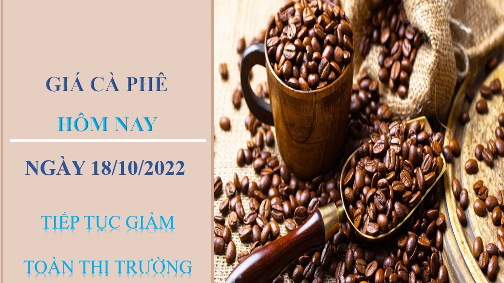 Giá cà phê hôm nay 19/10/2022: Tiếp tục giảm toàn thị trường