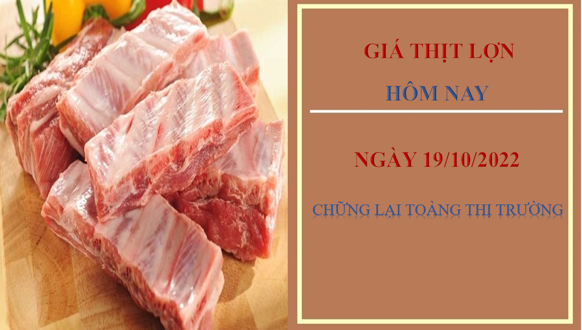 Giá thịt lợn hôm nay 19/10/2022: Chững lại toàn thị trường