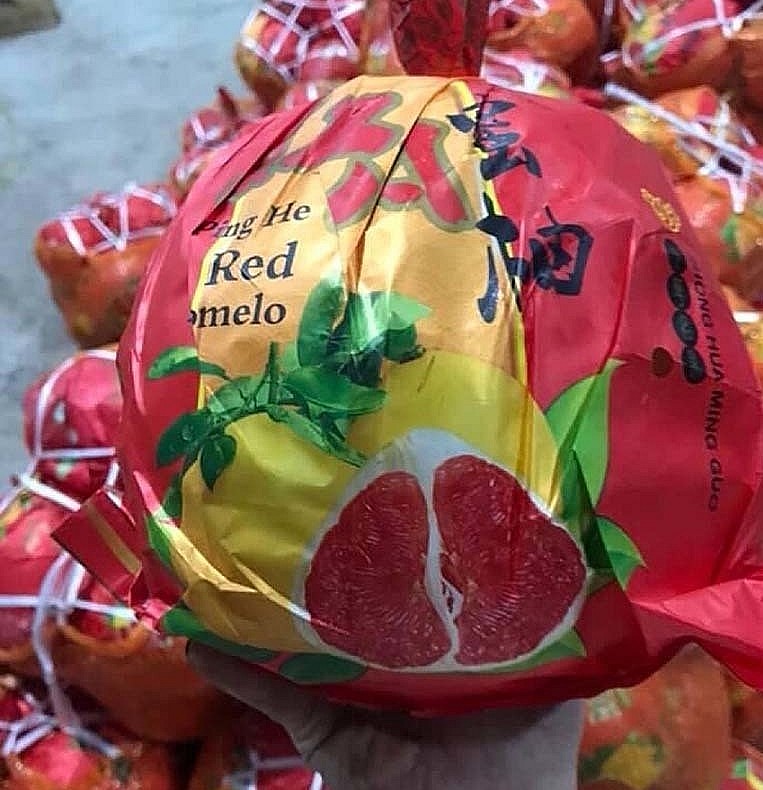 Bưởi ruột đỏ Trung Quốc đã xuất hiện ở Việt Nam từ nhiều năm nay.