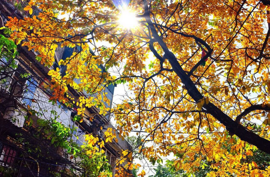 Những điểm chụp ảnh mùa thu Hà Nội tuyệt đẹp không thể bỏ qua