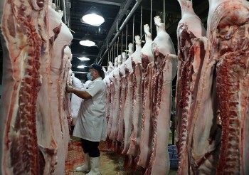 Giá thịt heo giảm mạnh, xuất khẩu tiểu ngạch vẫn gặp khó