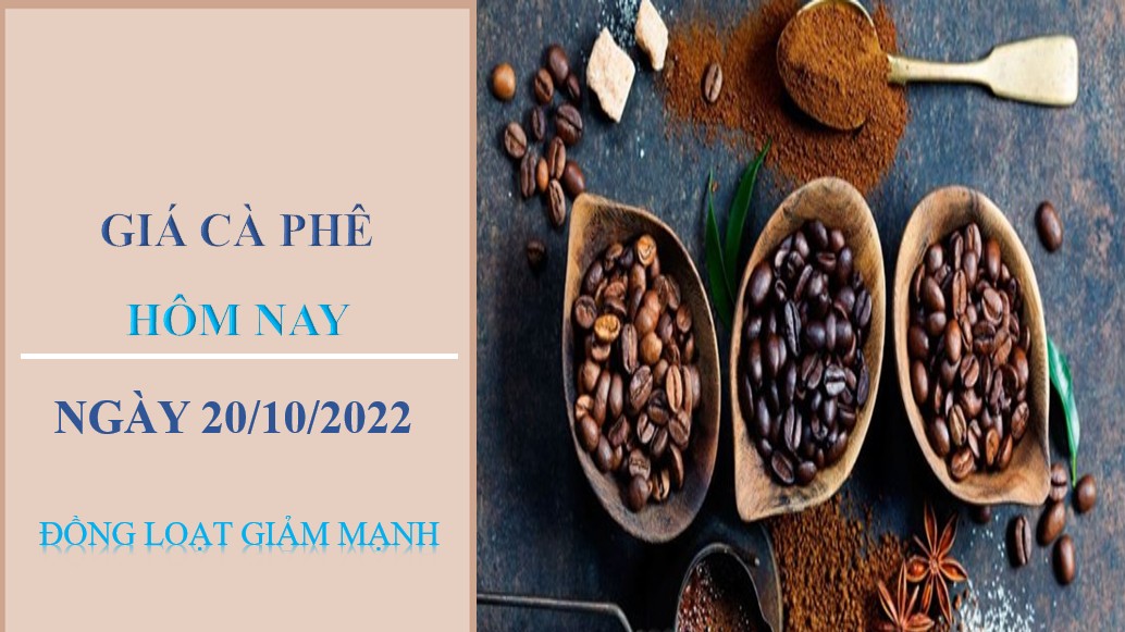 Giá cà phê hôm nay 20/10/2022: Đồng loạt giảm mạnh