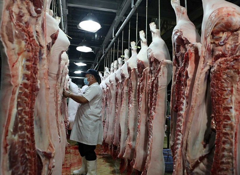 Khó trong xuất khẩu, trong khi nhu cầu thịt heo trong nước cũng giảm do kinh tế khó khăn.