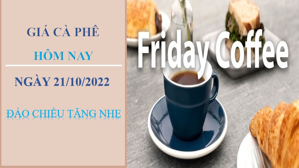 Giá cà phê hôm nay 21/10/2022: Đảo chiều tăng nhẹ