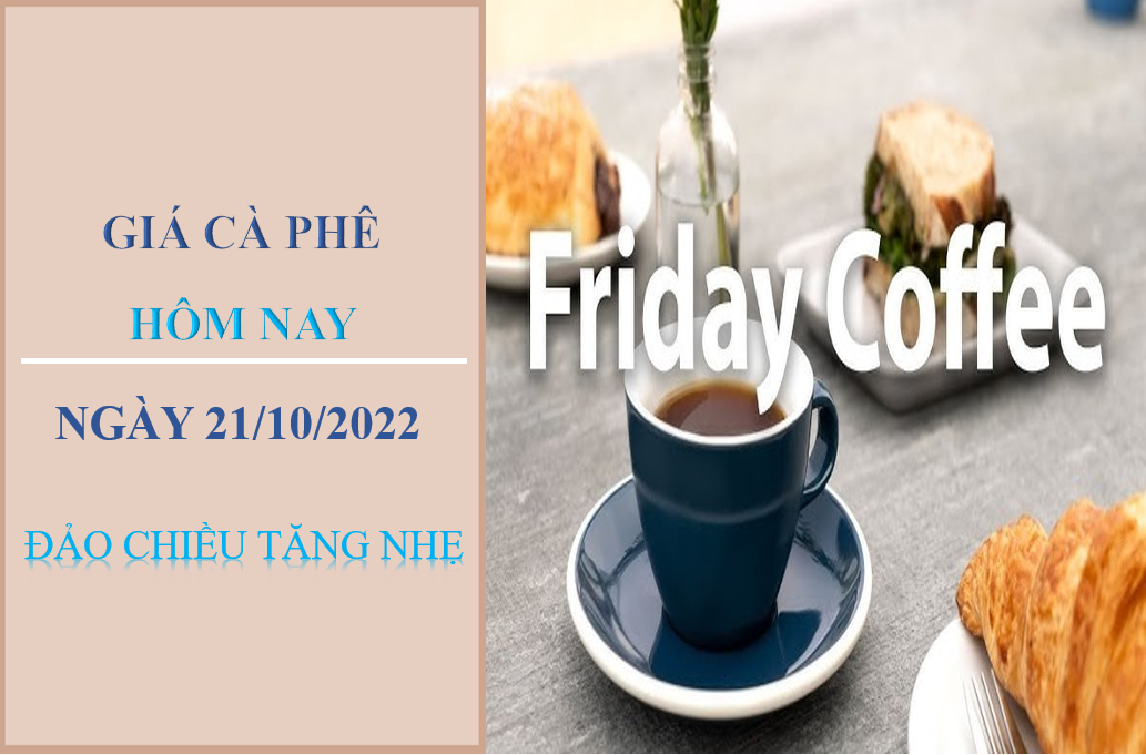 Giá cà phê hôm nay 21/10/2022: Đảo chiều tăng nhẹ