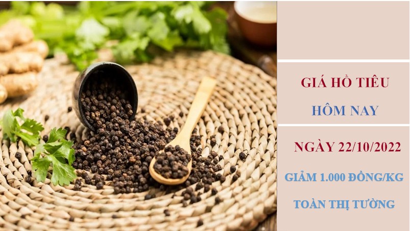 Giá hồ tiêu hôm nay 22/10/2022: Đồng loạt giảm mạnh