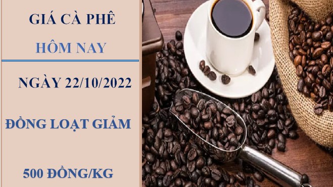 Giá cà phê hôm nay 21/10/2022: Đồng loạt điều chỉnh giảm