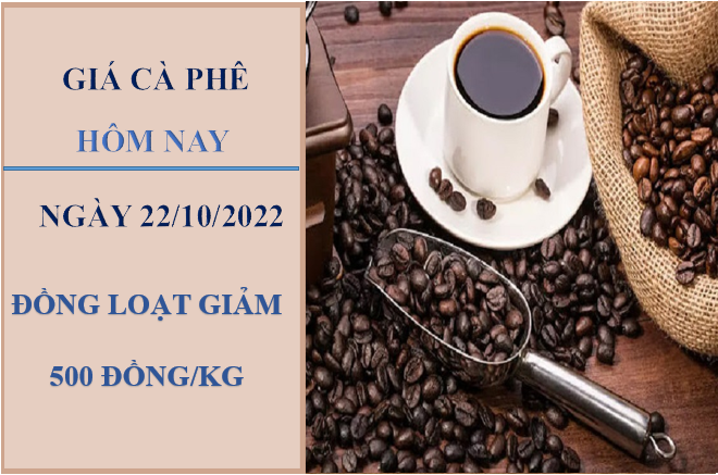 Giá cà phê hôm nay 21/10/2022: Đồng loạt điều chỉnh giảm