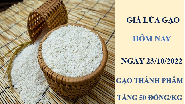 Giá lúa gạo hôm nay 23/10/2022:  Không có biến động mới