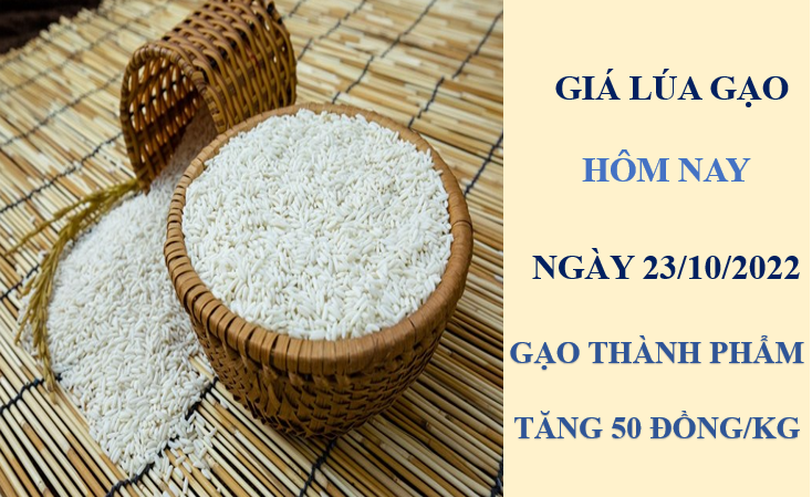 Giá lúa gạo hôm nay 23/10/2022:  Không có biến động mới