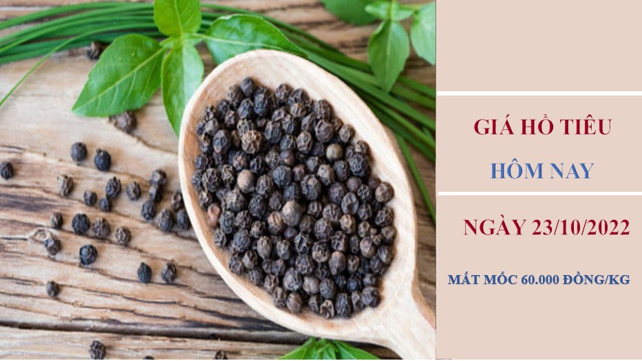 Giá hồ tiêu hôm nay 23/10/2022: Giá tiêu trong nước mất 2.500 đồng/kg