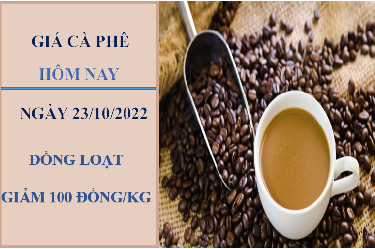 Giá cà phê hôm nay 23/10/2022: Giảm nhẹ toàn thị trường