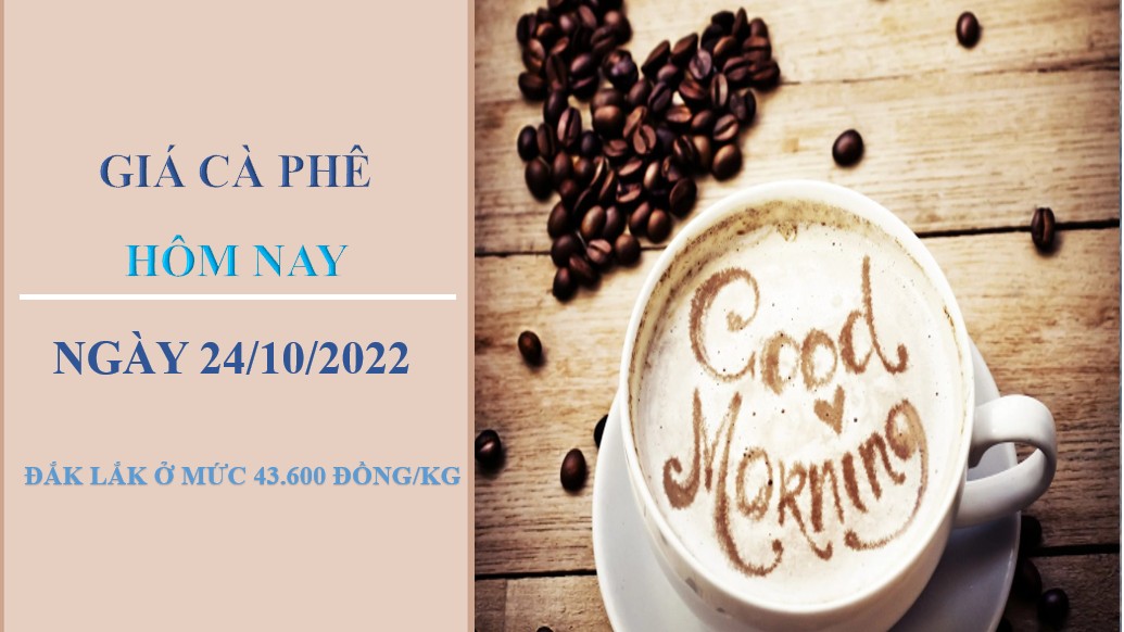 Giá cà phê hôm nay 24/10/2022: Không có thay đổi vào đầu tuần