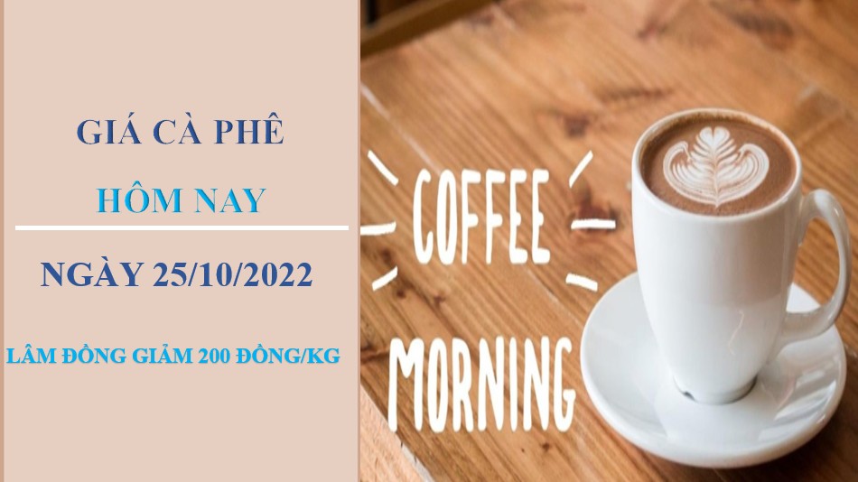 Giá cà phê hôm nay 25/10/2022: Giảm 200 đồng/kg tại Lâm Đồng