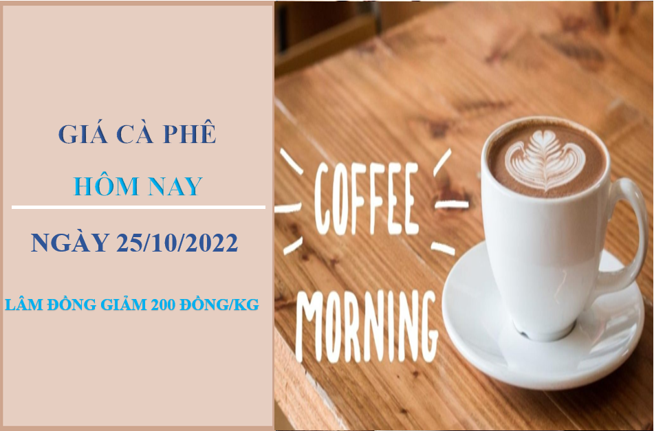 Giá cà phê hôm nay 25/10/2022: Giảm 200 đồng/kg tại Lâm Đồng