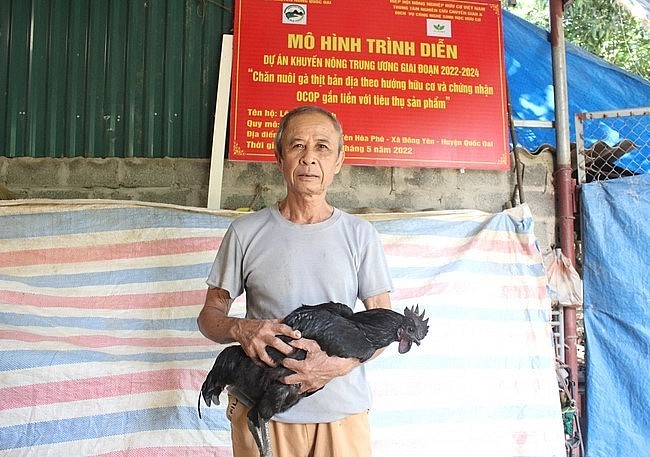 Ông Lê Đình Thành, thôn Việt Yên, xã Đông Yên (Quốc Oai, Hà Nội) phấn khởi vì đàn gà của gia đình nuôi theo hướng hữu cơ sinh trưởng và phát triển khỏe mạnh, tiết kiệm chi phí.