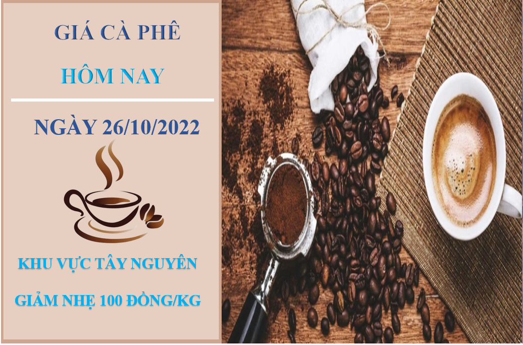 Giá cà phê hôm nay 26/10/2022: Tiếp tục giảm nhẹ toàn thị trường