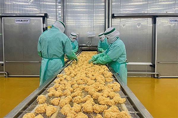 Chế biến thịt gà tại Công ty CPV Food
