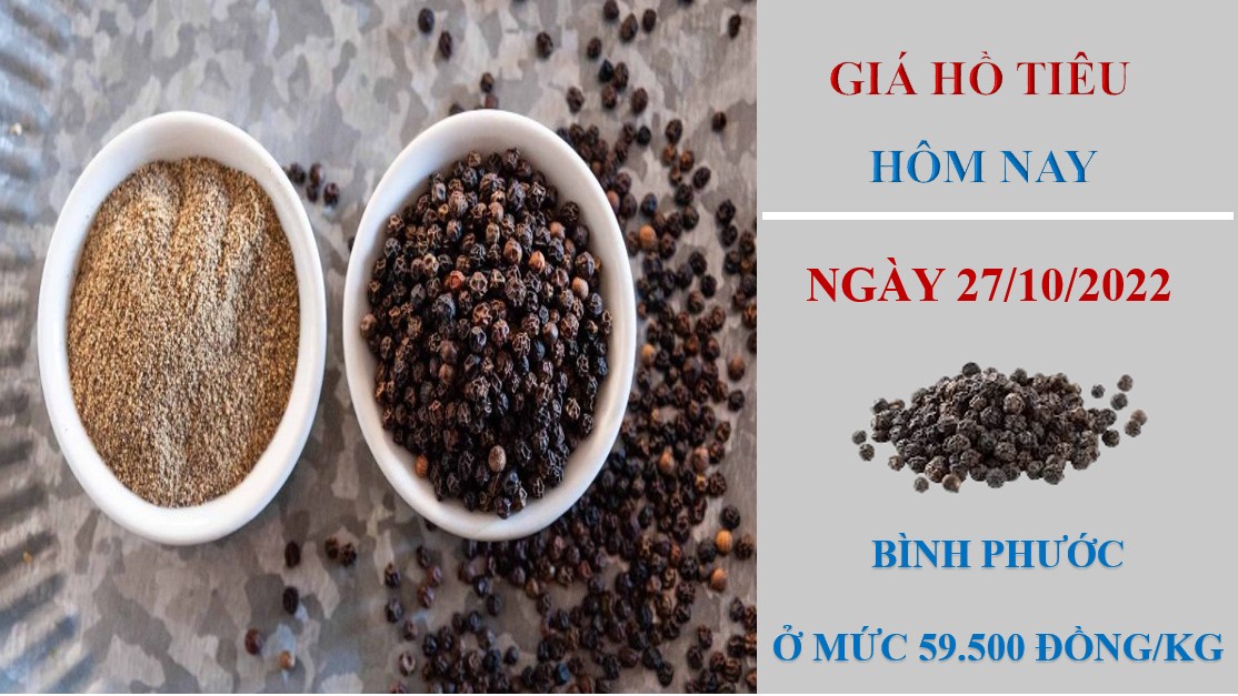 Giá hồ tiêu hôm nay 27/10/2022: Chững lại toàn thị trường