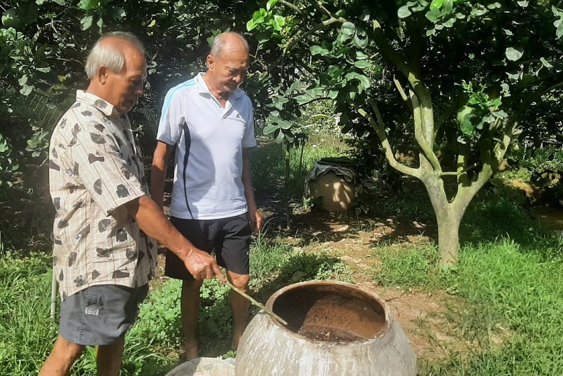 Ông Phạm Văn Đông ủ phân hữu cơ từ  phế phẩm thủy sản để bón cho bưởi da xanh -Ảnh: MT