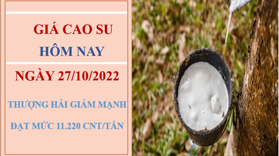 Giá cao su hôm nay 27/10/2022: Lao dốc toàn thị trường