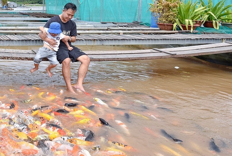 Du khách trải nghiệm tại bè cá Bảy Bon ở Cồn Sơn, Cần Thơ.