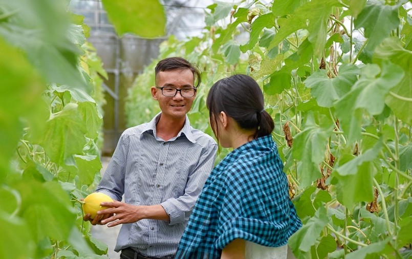 Kỹ sư Trần Linh Tâm (trái) trực tiếp đưa du khách đi trải nghiệm tại nông trại Phan Nam.