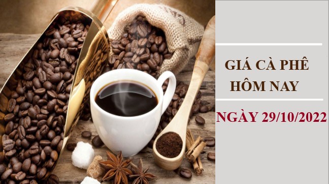 Giá cà phê hôm nay 29/10/2022: Tiếp tục giảm khoảng 600 đồng/kg