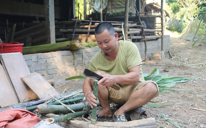 Anh Nguyễn Hồng Minh, Chi hội trưởng Nông dân xóm Mùi chuẩn bị thức ăn cho dúi