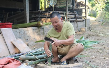 Mô hình “nuôi trồng thập cẩm” khác người của anh Minh 