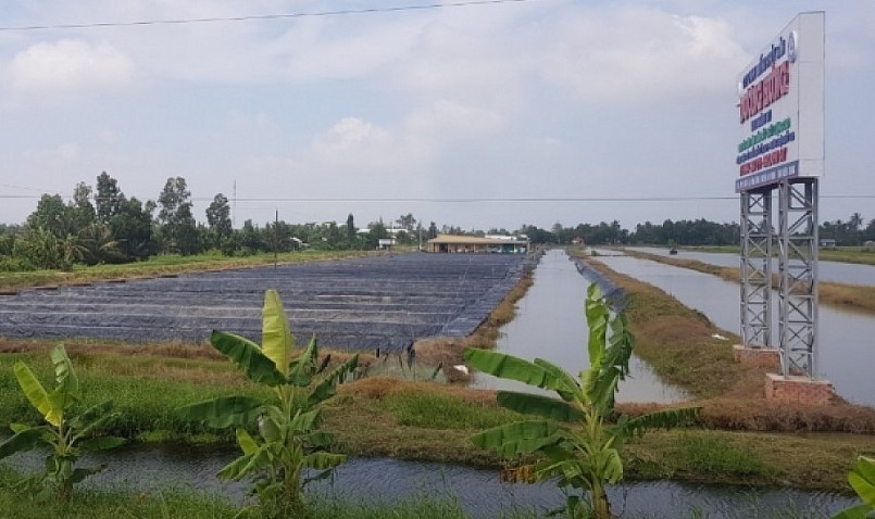 An Minh có diện tích đất canh tác tương đối lớn, vùng tôm lúa khoảng 39.000 ha, vùng chuyên nuôi trồng thủy sản hơn 7.000 ha.