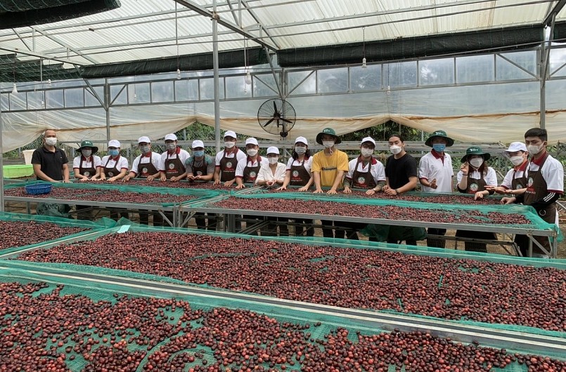 Vượt thách thức, cà phê Việt Nam chuẩn bị cán mốc xuất khẩu 4 tỷ USD