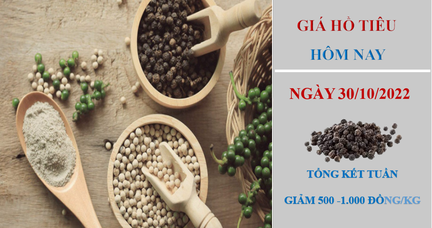 Giá hồ tiêu hôm nay 30/10/2022: Tổng kết tuần giảm từ 500 – 1.000 Đồng/kg