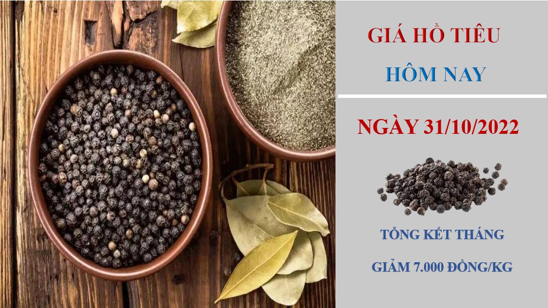 Giá hồ tiêu hôm nay 31/10/2022: Không ghi nhận điều chỉnh mới