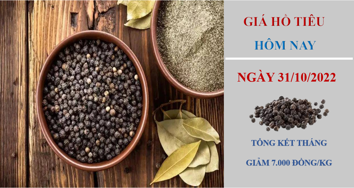 Giá hồ tiêu hôm nay 31/10/2022: Không ghi nhận điều chỉnh mới