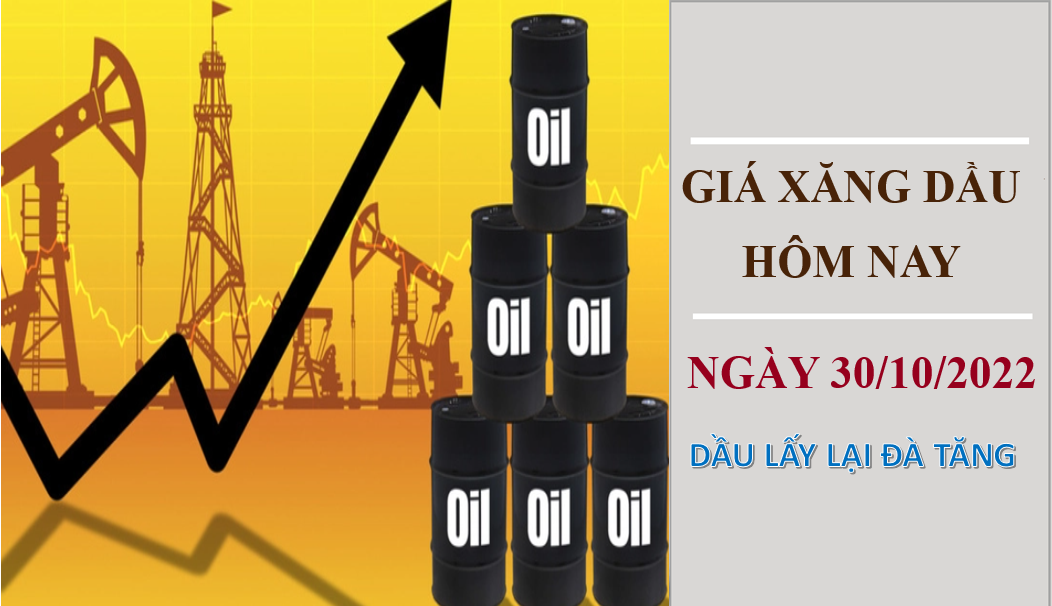 Giá xăng dầu hôm nay 31/10/2022: Dầu thô lấy lại đà tăng