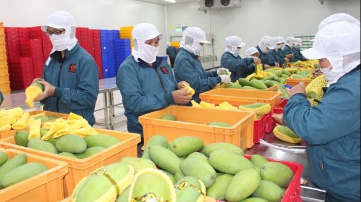Xuất khẩu trái cây sẽ đạt trên 5 tỷ USD vào năm 2025
