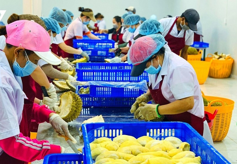 Nông sản Việt Nam có nhiều thuận lợi trên thị trường xuất khẩu.