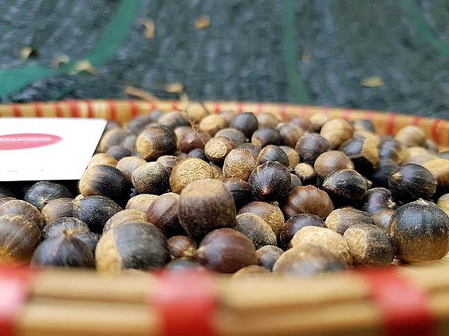Thứ hạt “tí hon” vào mùa, giá 100.000 đồng/kg, chị em tranh nhau đặt mua