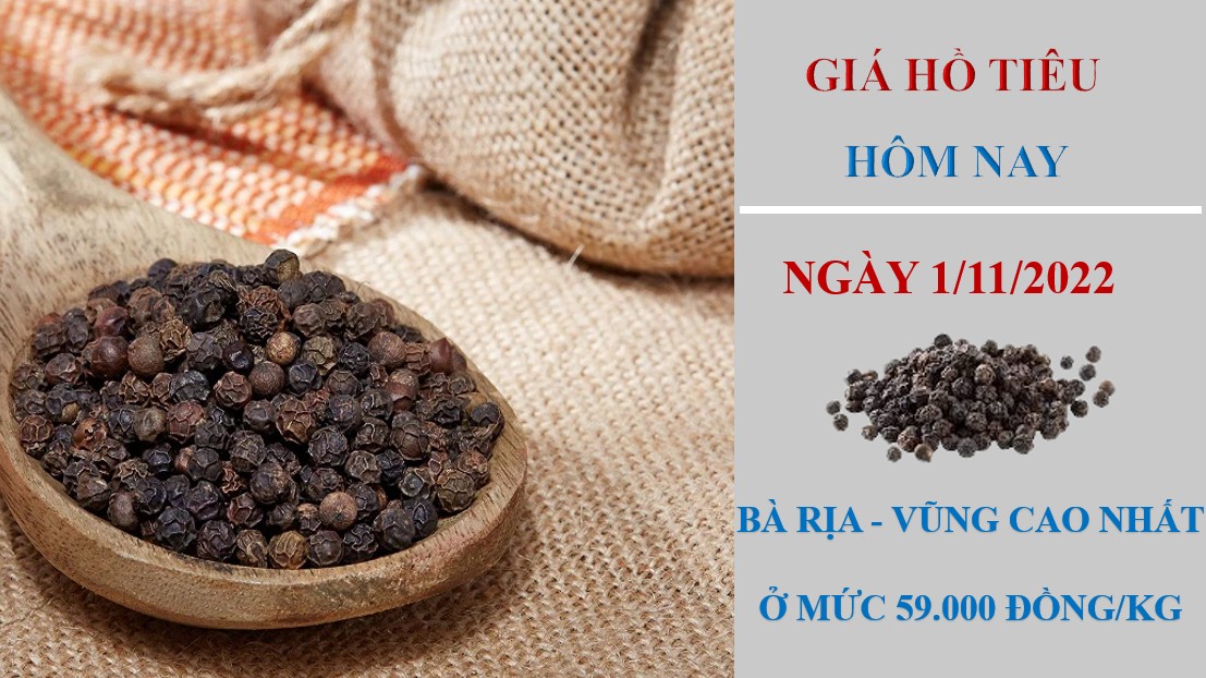 Giá hồ tiêu hôm nay 1/11/2022: Giá cao nhất tại Bà Rịa Vũng Tàu