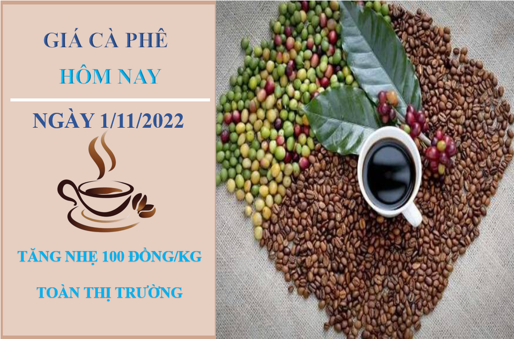 Giá cà phê hôm nay 1/11/2022: Đảo chiều tăng nhẹ