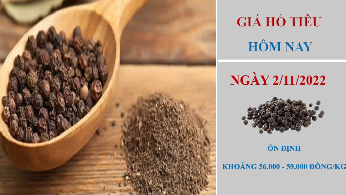 Giá hồ tiêu hôm nay 2/11/2022: Xuất khẩu 10 tháng giảm nhưng giá trị vẫn tăng